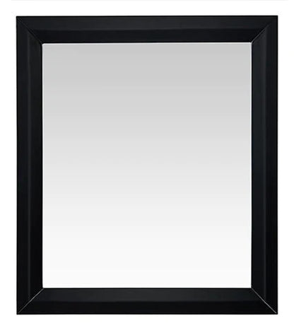 Image is white background photo of Ancerre Black Onyx wood framed mirror.